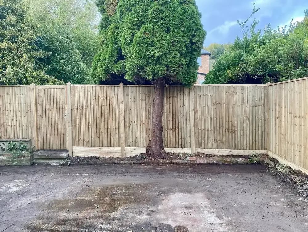 Full boundary replacement — closeboard topped with trellis — photo 2