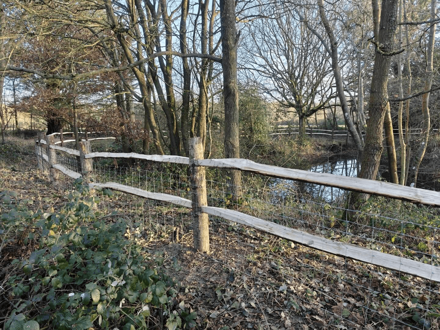 Post and rail fencing installed by Fencecraft beside a woodland pond in Kent