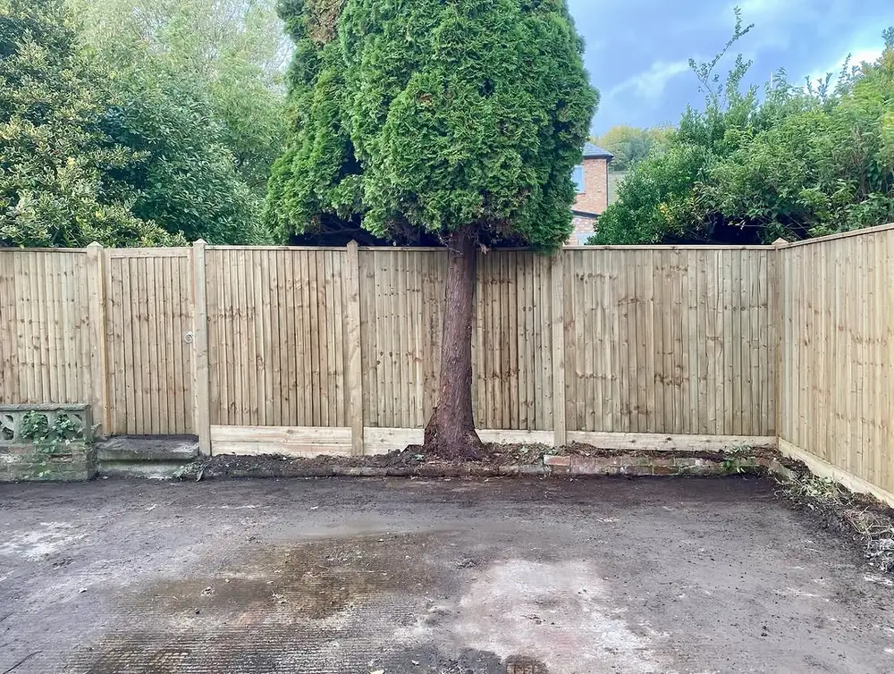 Closeboard fence built around a mature tree at the end of a paved yard