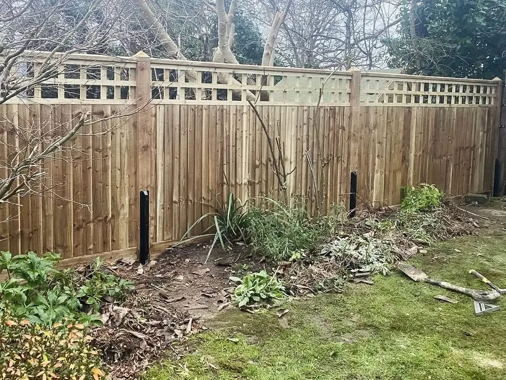 Closeboard fence topped with trellis panels along a garden boundary