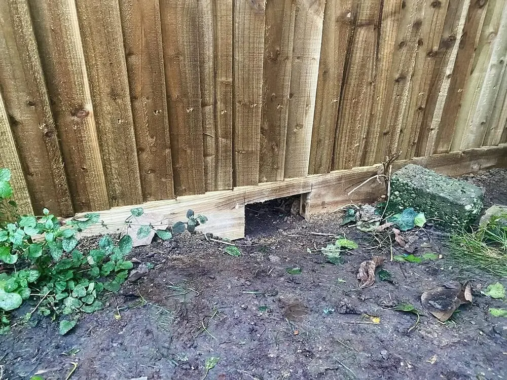 Close view of feather-edge boards and gravel board on a newly built closeboard fence